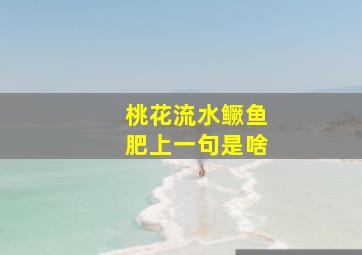 桃花流水鳜鱼肥上一句是啥