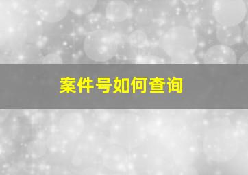 案件号如何查询