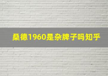 桑德1960是杂牌子吗知乎