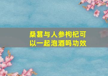 桑葚与人参枸杞可以一起泡酒吗功效