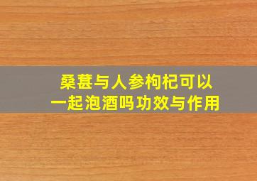 桑葚与人参枸杞可以一起泡酒吗功效与作用