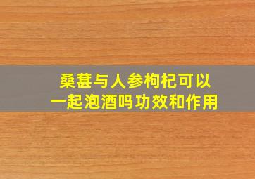 桑葚与人参枸杞可以一起泡酒吗功效和作用