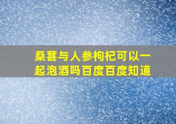 桑葚与人参枸杞可以一起泡酒吗百度百度知道