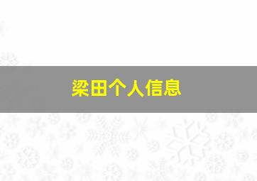 梁田个人信息