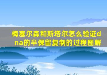 梅塞尔森和斯塔尔怎么验证dna的半保留复制的过程图解