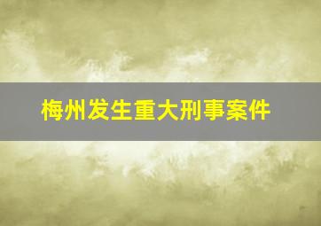 梅州发生重大刑事案件