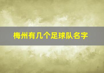 梅州有几个足球队名字