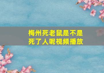 梅州死老鼠是不是死了人呢视频播放