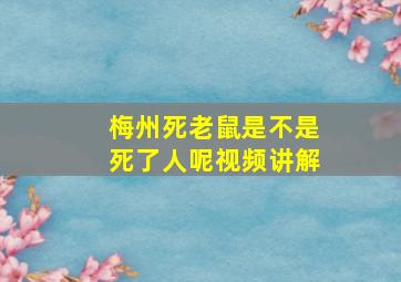 梅州死老鼠是不是死了人呢视频讲解