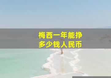 梅西一年能挣多少钱人民币