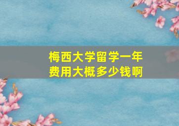 梅西大学留学一年费用大概多少钱啊