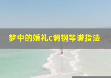 梦中的婚礼c调钢琴谱指法