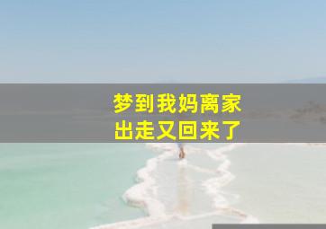 梦到我妈离家出走又回来了