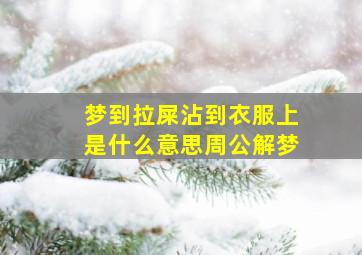 梦到拉屎沾到衣服上是什么意思周公解梦