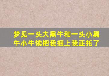 梦见一头大黑牛和一头小黑牛小牛犊把我捆上我正托了