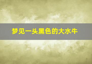 梦见一头黑色的大水牛