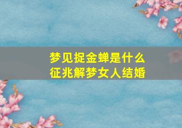 梦见捉金蝉是什么征兆解梦女人结婚