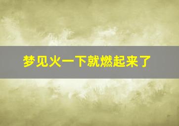 梦见火一下就燃起来了