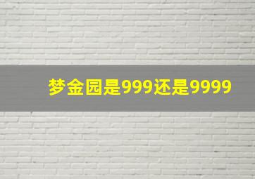 梦金园是999还是9999