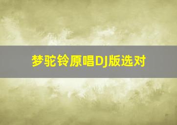 梦驼铃原唱DJ版选对