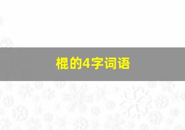 棍的4字词语