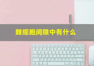 棘细胞间隙中有什么