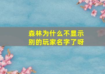 森林为什么不显示别的玩家名字了呀