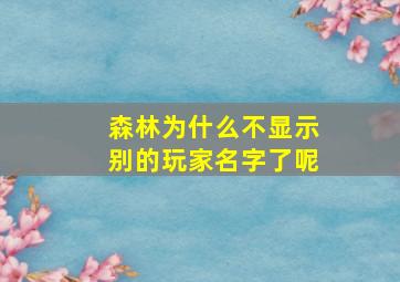 森林为什么不显示别的玩家名字了呢