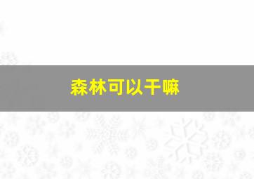 森林可以干嘛