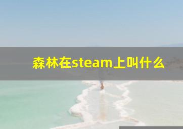 森林在steam上叫什么