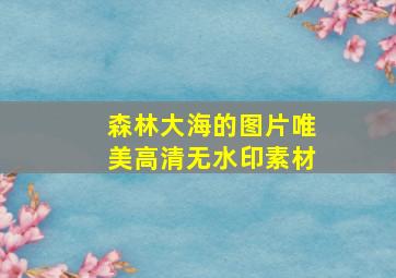 森林大海的图片唯美高清无水印素材