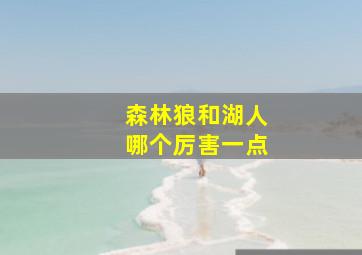 森林狼和湖人哪个厉害一点