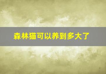 森林猫可以养到多大了