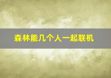 森林能几个人一起联机