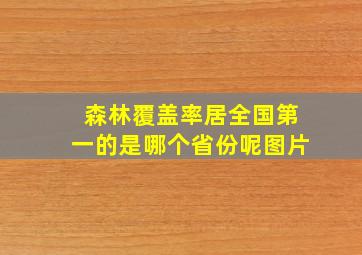 森林覆盖率居全国第一的是哪个省份呢图片