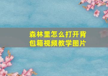 森林里怎么打开背包箱视频教学图片