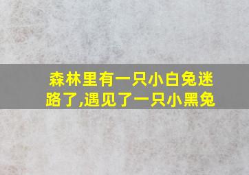 森林里有一只小白兔迷路了,遇见了一只小黑兔