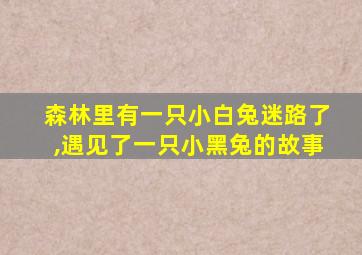 森林里有一只小白兔迷路了,遇见了一只小黑兔的故事