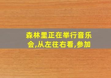 森林里正在举行音乐会,从左往右看,参加