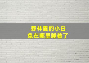 森林里的小白兔在哪里睡着了