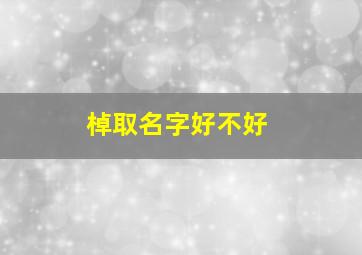 棹取名字好不好