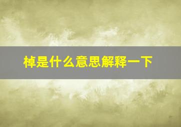 棹是什么意思解释一下