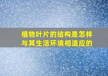 植物叶片的结构是怎样与其生活环境相适应的