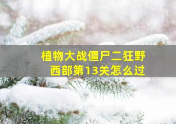 植物大战僵尸二狂野西部第13关怎么过