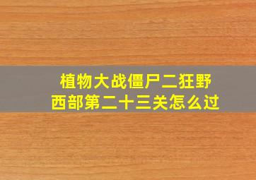 植物大战僵尸二狂野西部第二十三关怎么过