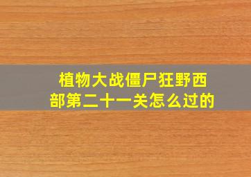 植物大战僵尸狂野西部第二十一关怎么过的