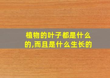 植物的叶子都是什么的,而且是什么生长的