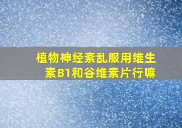 植物神经紊乱服用维生素B1和谷维素片行嘛