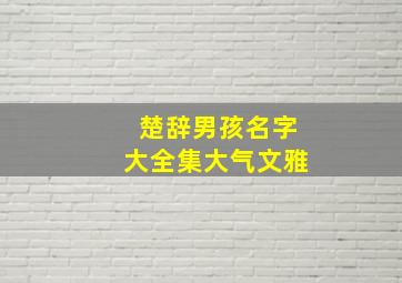 楚辞男孩名字大全集大气文雅