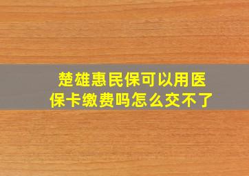 楚雄惠民保可以用医保卡缴费吗怎么交不了